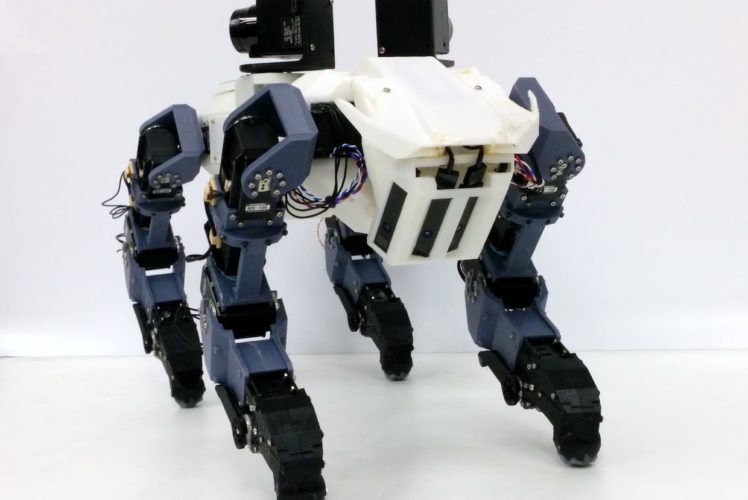 A Quadruped Robot Can Climb a Vertical Ladder